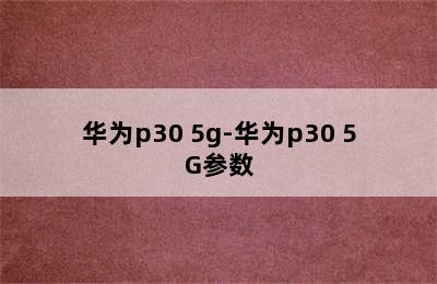 华为p30 5g-华为p30 5G参数